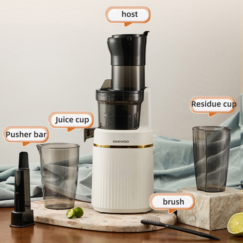 Draagbare blender Elektrische  - Electric Slow Juicer Cold Press recensie en prijs