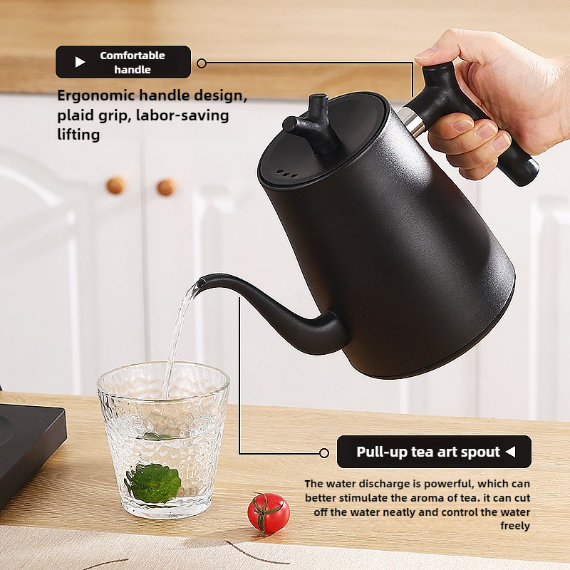 Elektrische waterkoker met zwa - Electric Kettle Temperature Control recensie en prijs